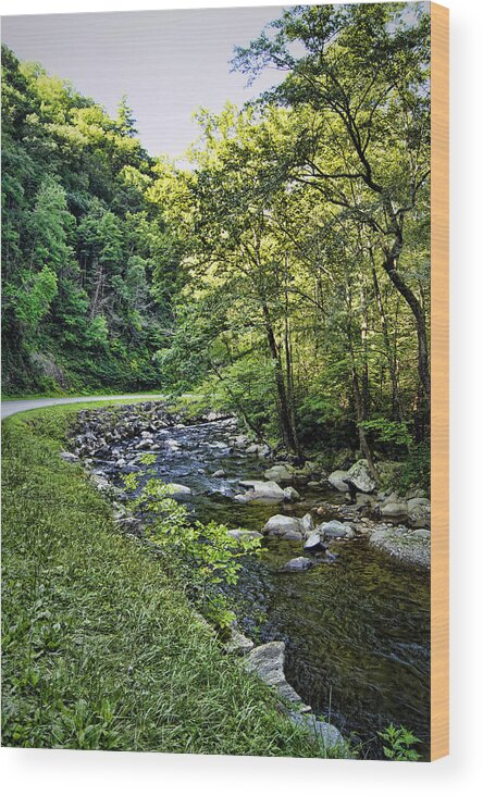 little River Wood Print featuring the photograph Little River Road by Cricket Hackmann