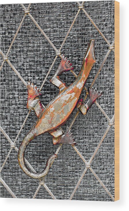 Lizard Wood Print featuring the photograph Lizard and Glass Door Ornament - Bavaria by Gary Whitton