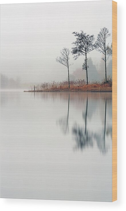 Loch Ard Canvas Wood Print featuring the photograph Loch Ard Reflections by Grant Glendinning