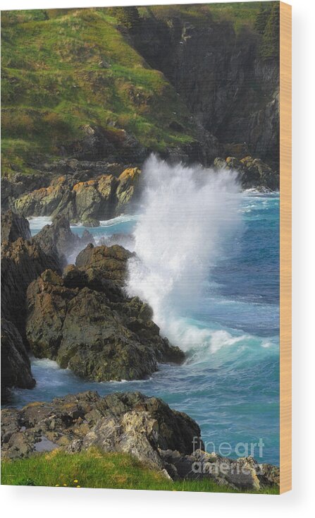 Newfoundland Wood Print featuring the photograph Logy Bay in Newfoundland by Charline Xia