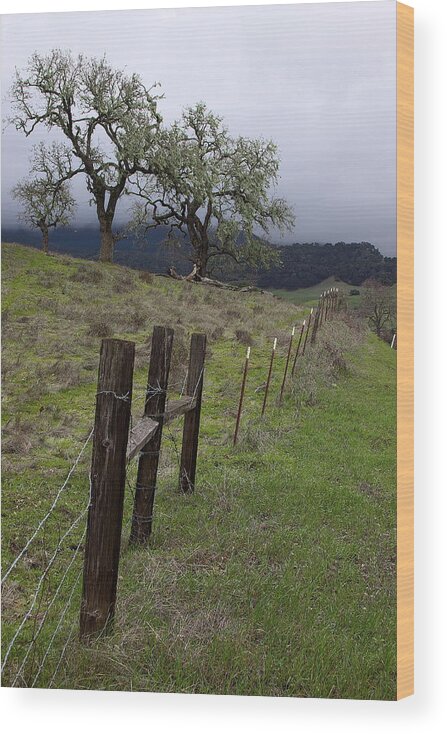 Rural Wood Print featuring the photograph Los Padres National Forest by Viktor Savchenko