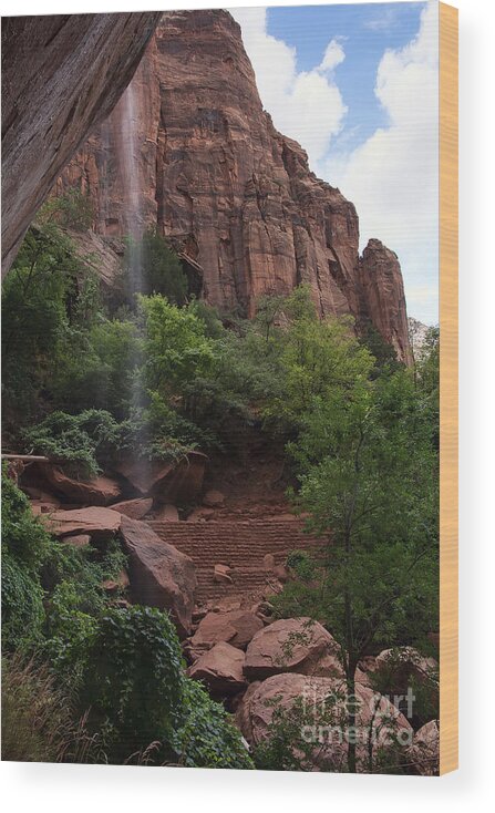 Zion Wood Print featuring the photograph Lower Emerald Pool by Eddie Yerkish