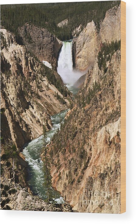 Yellowstone National Park Wood Print featuring the photograph Lower Falls at Yellowstone by Lisa Billingsley