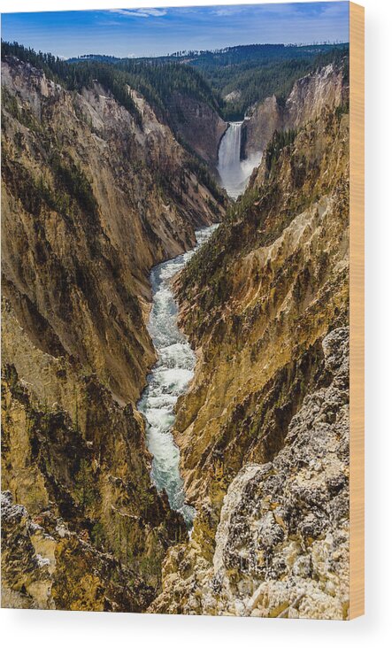 Lower Falls Of Grand Canyon Of Yellowstone Wood Print featuring the photograph Lower Falls of Grand Canyon of Yellowstone by Debra Martz