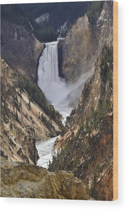 Photography Wood Print featuring the photograph Lower Yellowstone Falls 2 by Lee Kirchhevel