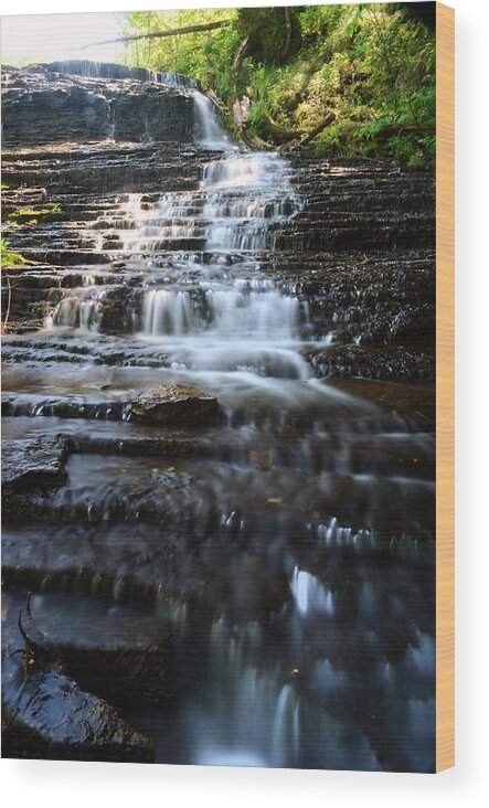 Waterfall Wood Print featuring the photograph Lwv60001 by Lee Winter