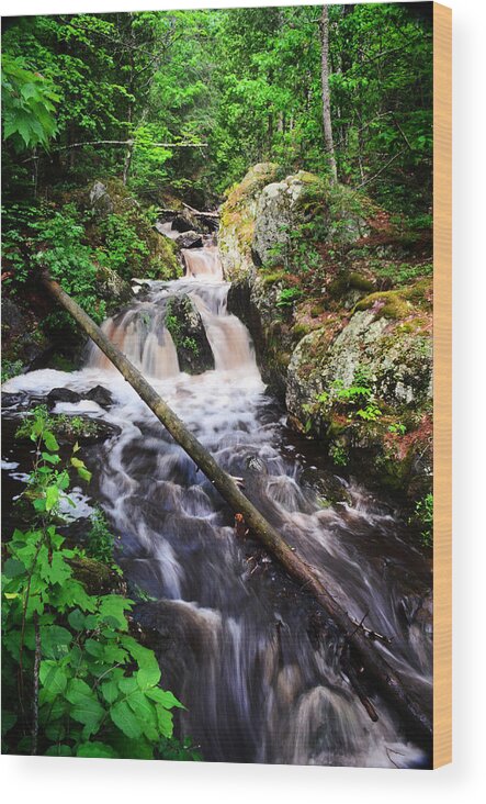 Waterfall Wood Print featuring the photograph Lwv60008 by Lee Winter