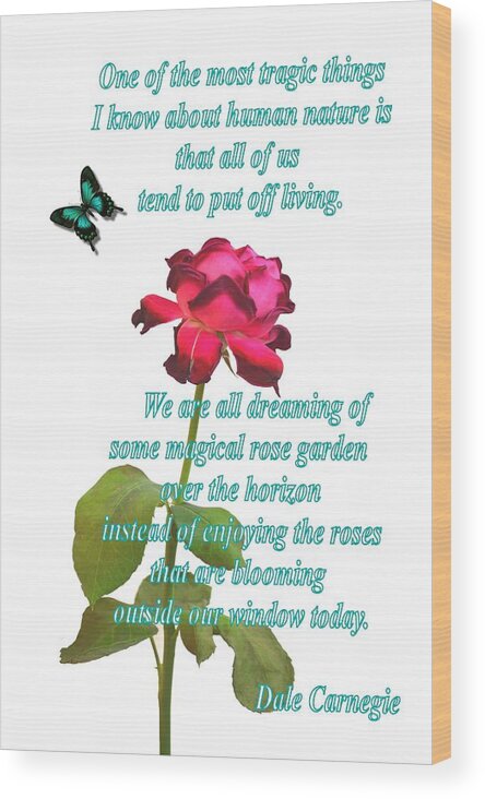 Flower Wood Print featuring the photograph Magenta Red Rose with Butterfly and Quote by ITI Ion Vincent Danu