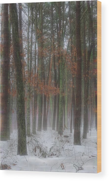 Fog Wood Print featuring the photograph Magic in the Fog 1 by Beth Sawickie