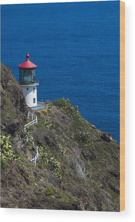 Sea Wood Print featuring the photograph Makapuu Lighthouse2 by Leigh Anne Meeks