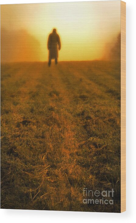 Man Wood Print featuring the photograph Man in field at sunset by Edward Fielding