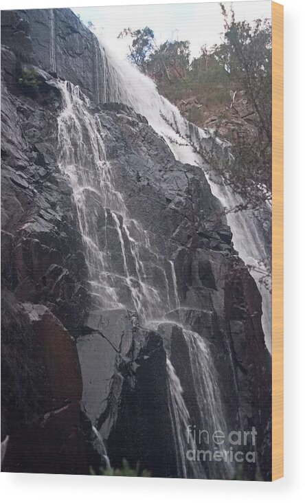 Stuart Media Servces Wood Print featuring the photograph Mckenzie Falls by Blair Stuart