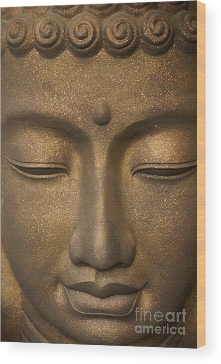Meditating Buddha Wood Print featuring the photograph Meditating Buddha by John Mitchell