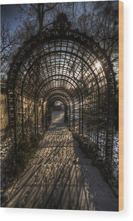 Background Wood Print featuring the digital art Metal garden by Nathan Wright