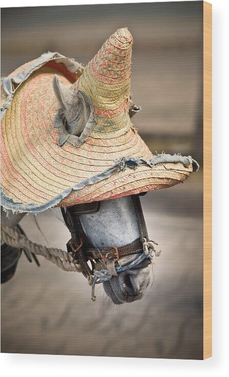 Caribbean Wood Print featuring the photograph Mexican Burro by John Magyar Photography