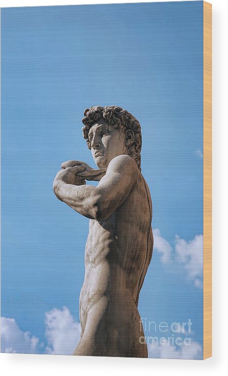 Florence Wood Print featuring the photograph Michelangelo's David by Brenda Kean