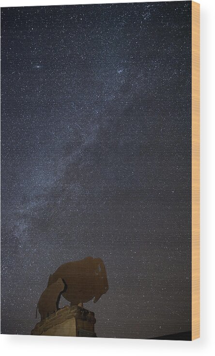 Adventure Wood Print featuring the photograph Milky Way by Melany Sarafis
