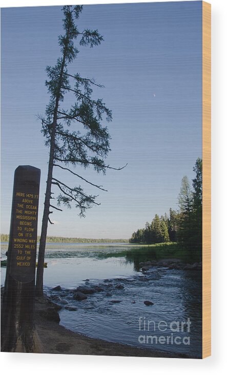 Itasca Wood Print featuring the photograph Mississippi Headwaters by Cassie Marie Photography