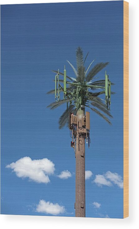 Mobile Phone Mast Wood Print featuring the photograph Mobile Phone Communications Tower by Jim West