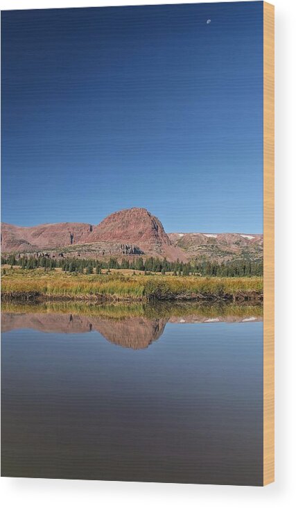 Moon Wood Print featuring the photograph Moon and Pond by Mitch Johanson