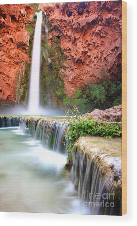 Havasu Falls Wood Print featuring the photograph Mooney Falls by Bill Singleton
