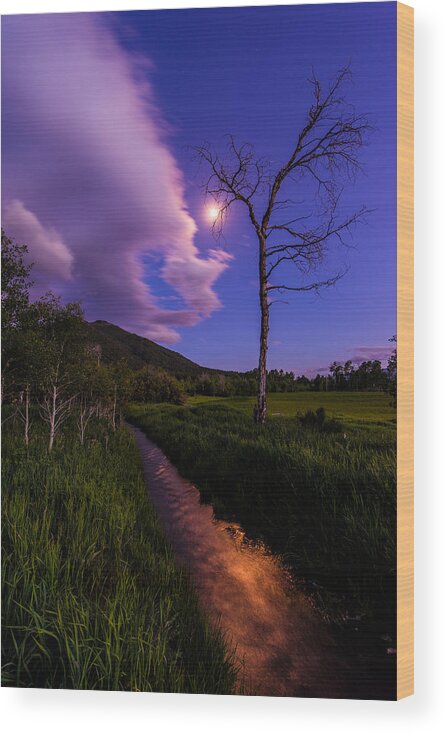 Wyoming Wood Print featuring the photograph Moonlight Meadow by Chad Dutson