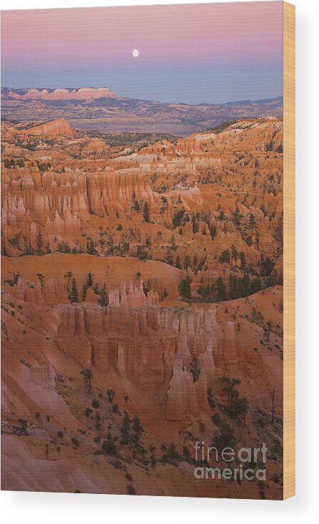 00431152 Wood Print featuring the photograph Moonrise Over Bryce Canyon by Yva Momatiuk John Eastcott