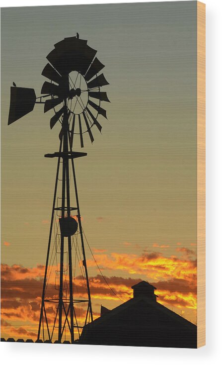 Dakota Wood Print featuring the photograph Morning at the Farm by Greni Graph