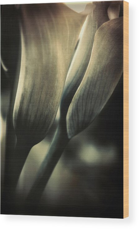 Floral Wood Print featuring the photograph Morning Commute by Darlene Kwiatkowski