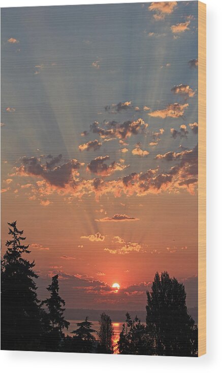 Sunrise Wood Print featuring the photograph Morning Rays by E Faithe Lester