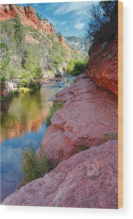 Sedona Wood Print featuring the photograph Morning Sun on Oak Creek - Slide Rock State Park Sedona Arizona by Silvio Ligutti