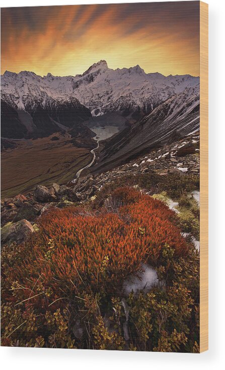 Alps Wood Print featuring the photograph Mount Sefton by Yan Zhang
