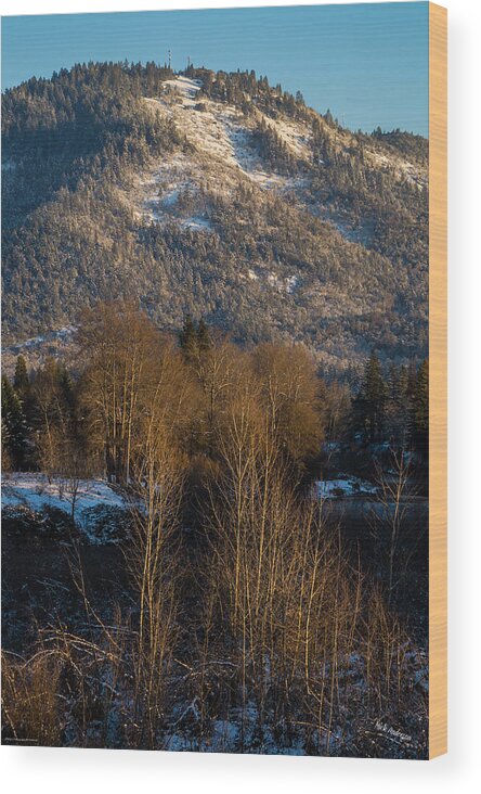 Mt Baldy Wood Print featuring the photograph Mt Baldy near Grants Pass by Mick Anderson