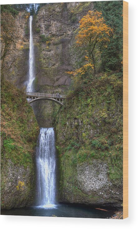 Multnomah Wood Print featuring the photograph Multnomah Falls by David Hart