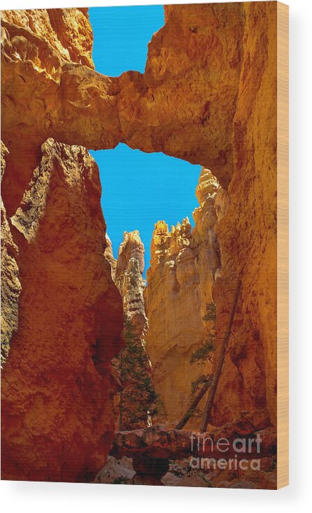 Rock Formations Wood Print featuring the photograph Natural Bridge Bryce by Robert Bales