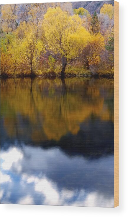 Waters Wood Print featuring the photograph Natural Reflections by Steven Milner
