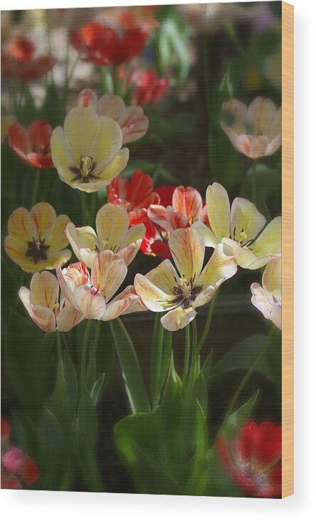 Flowers Wood Print featuring the photograph Natures Joy by Randy Pollard