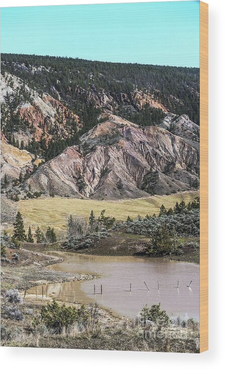 Nature's Palette Wood Print featuring the photograph Nature's Palette by Sandi Mikuse