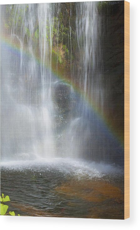 Rainbow Falls Wood Print featuring the photograph Natures Rainbow Falls by Jerry Cowart