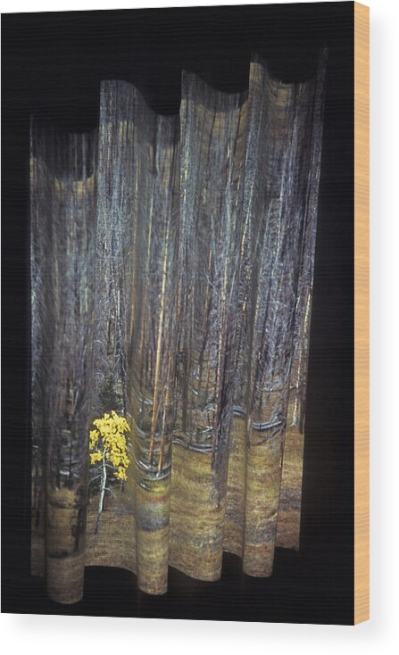 Yellowstone Wood Print featuring the photograph New Yellowstone Growth by Doug Davidson