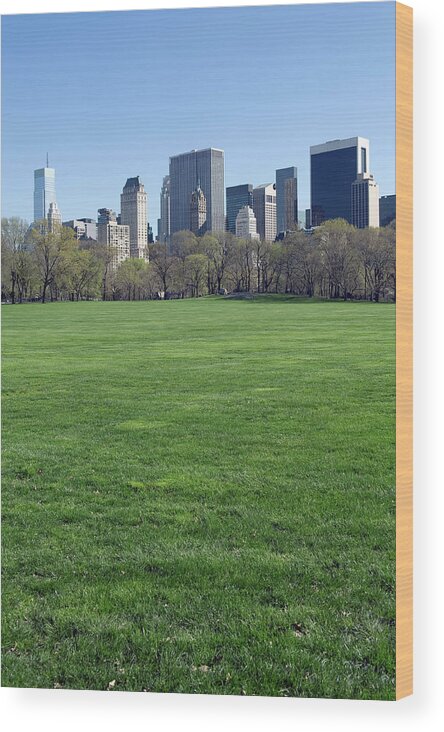 Scenics Wood Print featuring the photograph New York City Central Park by Kevinjeon00