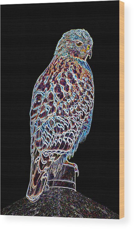 Hawk Wood Print featuring the photograph Night Watcher by Donna Proctor