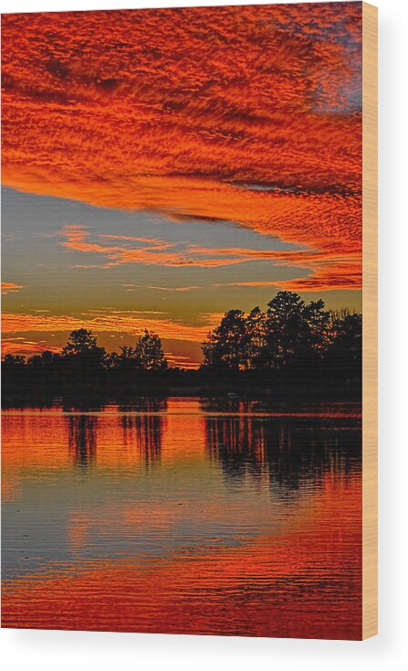 Sunset Wood Print featuring the photograph November Sunset by Beth Venner