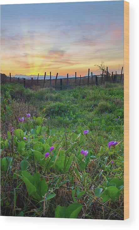 Tranquility Wood Print featuring the photograph Occidental Mindoro Sunrise Philippines by Rain Jorque