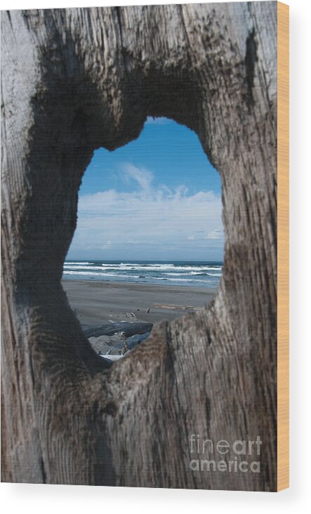 Ocean Wood Print featuring the photograph Ocean View by Sarah Schroder