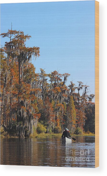 Okefenokee Wood Print featuring the photograph Okefenokee Paddle by Andre Turner