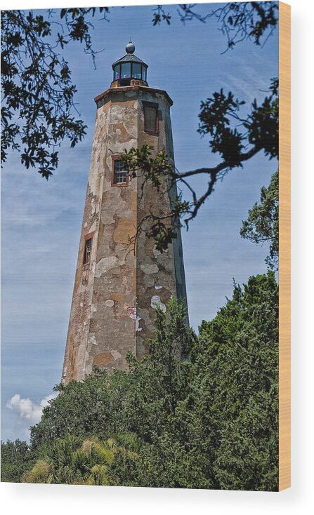 Sandra Anderson Wood Print featuring the photograph Old Baldy by Sandra Anderson