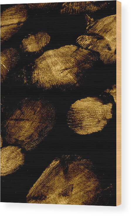 Rings Wood Print featuring the photograph Old Gold Logs by Mark Callanan