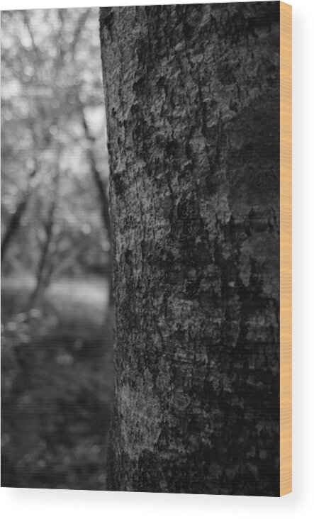 Miguel Wood Print featuring the photograph One in the Forest by Miguel Winterpacht