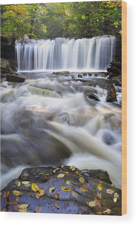 Water Falls Wood Print featuring the photograph Oneida Falls by Dan Myers